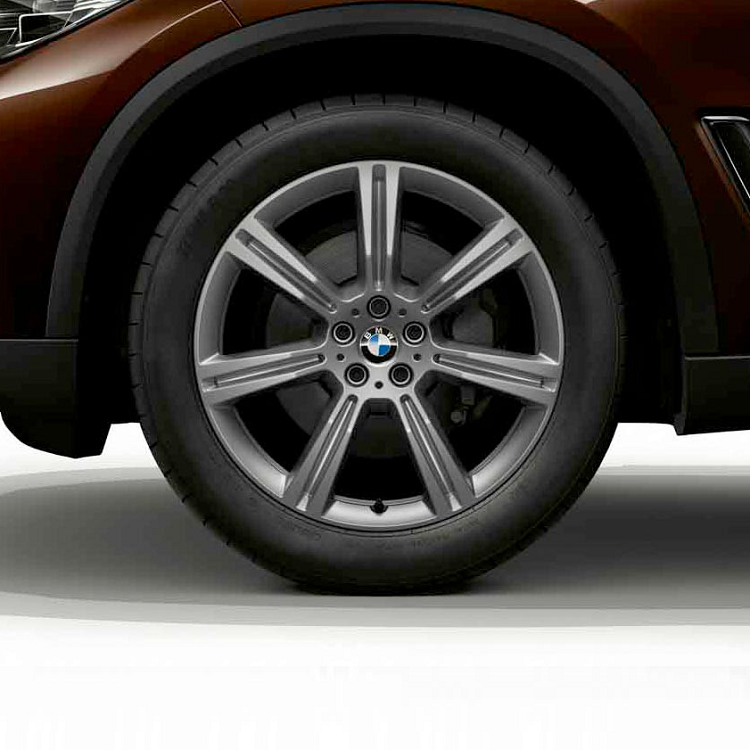 картинка Star Spoke 736 20" + Зима для BMW X5 (G05) от магазина bmw-orugunal.ru