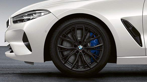 картинка M Double Spoke 786M R19 + Зима + Лето для BMW 5 (G30, G31) от магазина bmw-orugunal.ru