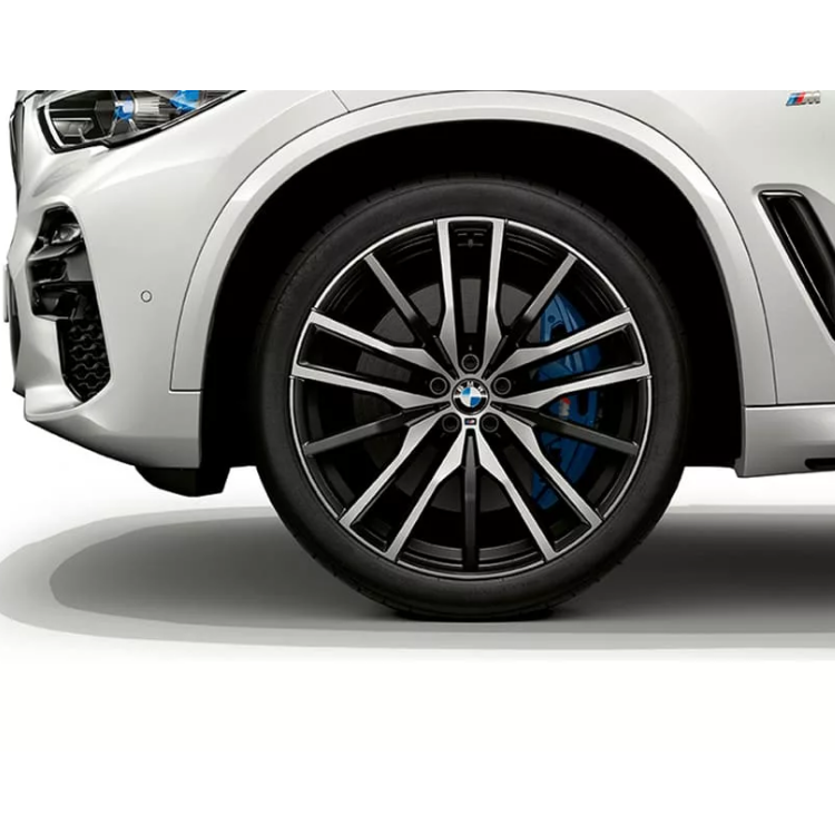 картинка Double spoke 742M 22" для BMW X5 (G05) от магазина bmw-orugunal.ru