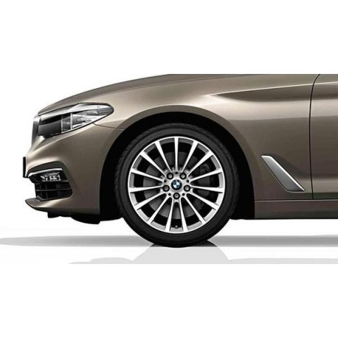 картинка Multi-Spoke 619 R18 для BMW 7 (G11) от магазина bmw-orugunal.ru